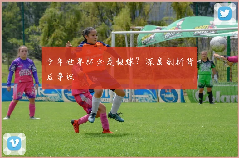 今年世界杯全是假球?深度剖析背后争议