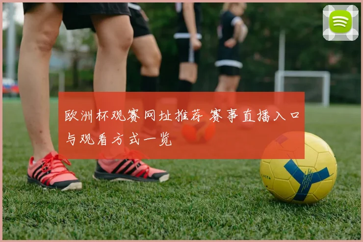 欧洲杯观赛网址推荐 赛事直播入口与观看方式一览