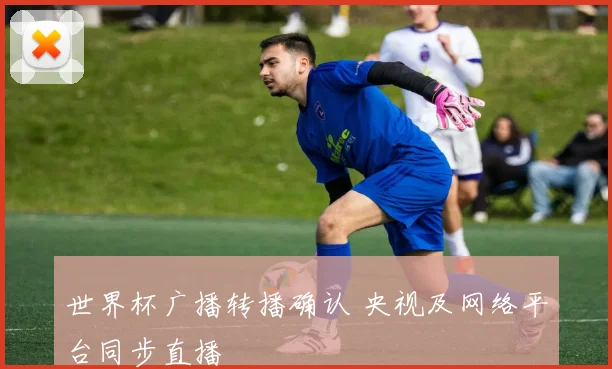 世界杯广播转播确认 央视及网络平台同步直播