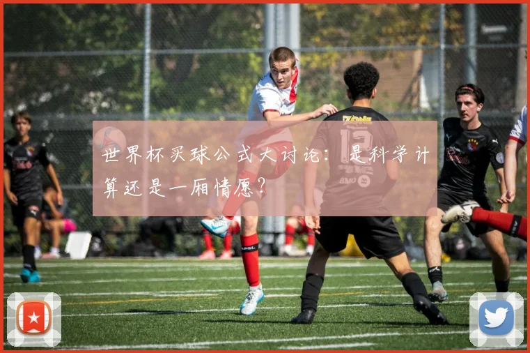 世界杯买球公式大讨论:是科学计算还是一厢情愿?