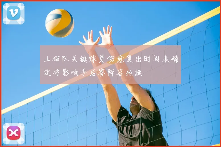 山猫队关键球员伤愈复出时间表确定将影响季后赛阵容轮换