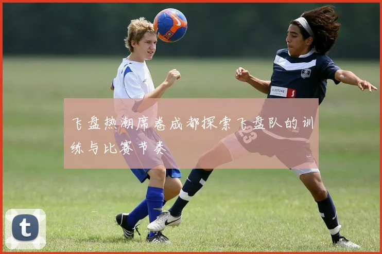飞盘热潮席卷成都探索飞盘队的训练与比赛节奏