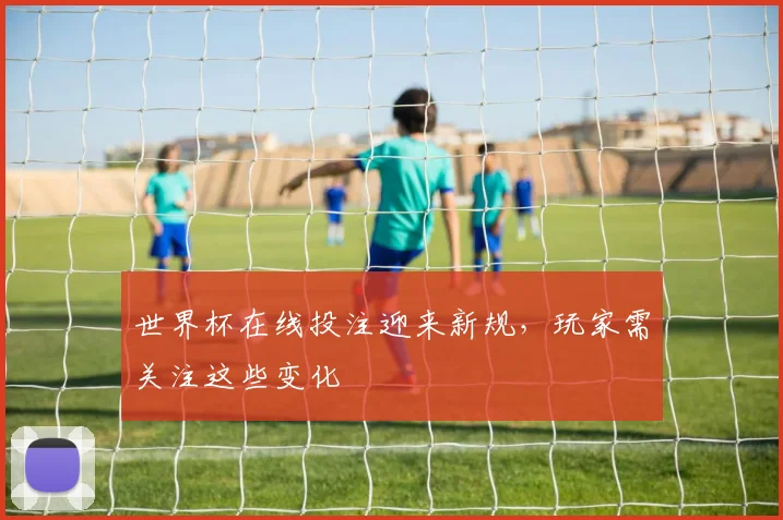 世界杯在线投注迎来新规,玩家需关注这些变化
